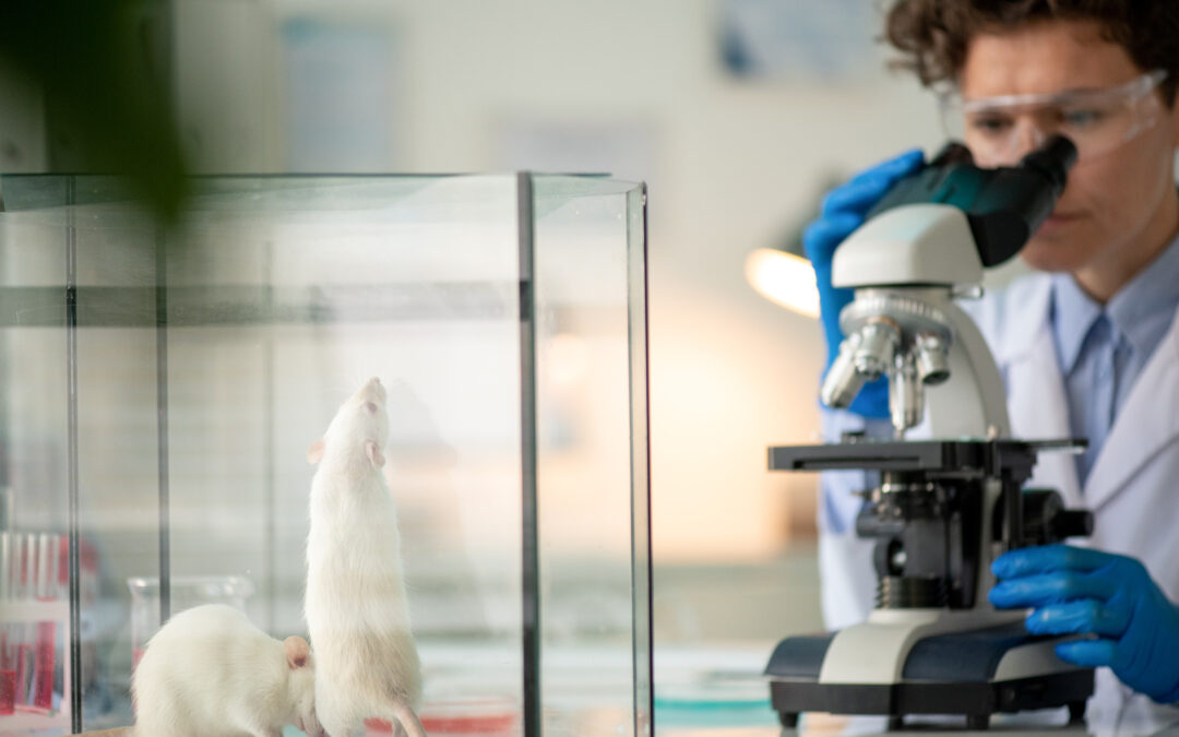 Homeopathy Proven Effective In Sleep Deprived Rats